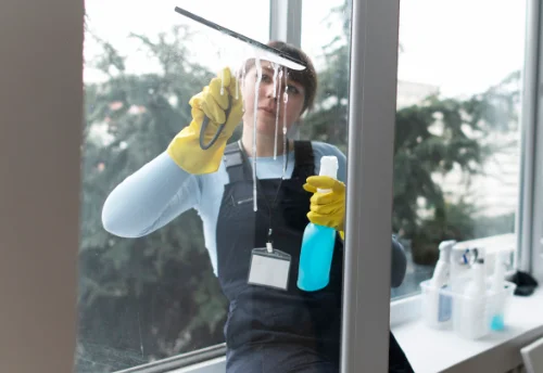 Nettoyage de vitres intérieures et extérieures à Lussac-les-Châteaux